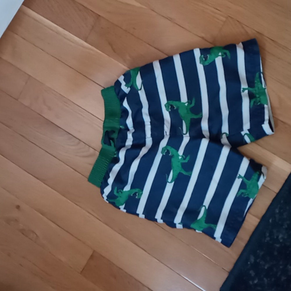 Dinosaur swim truck size 3T